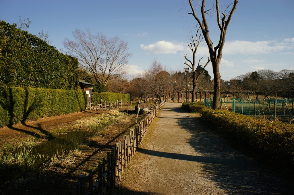 公園のお散歩撮り