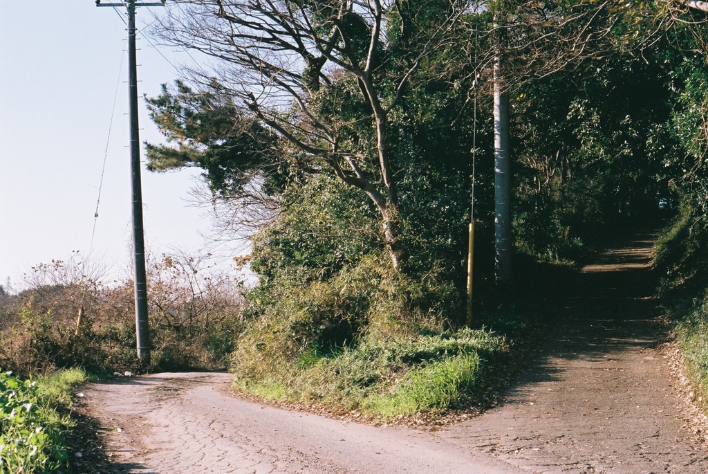 別れ道 By ゾル Id 写真共有サイト Photohito