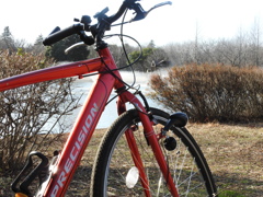 池を眺める自転車
