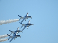 DSCN0963