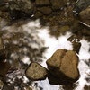 reflect