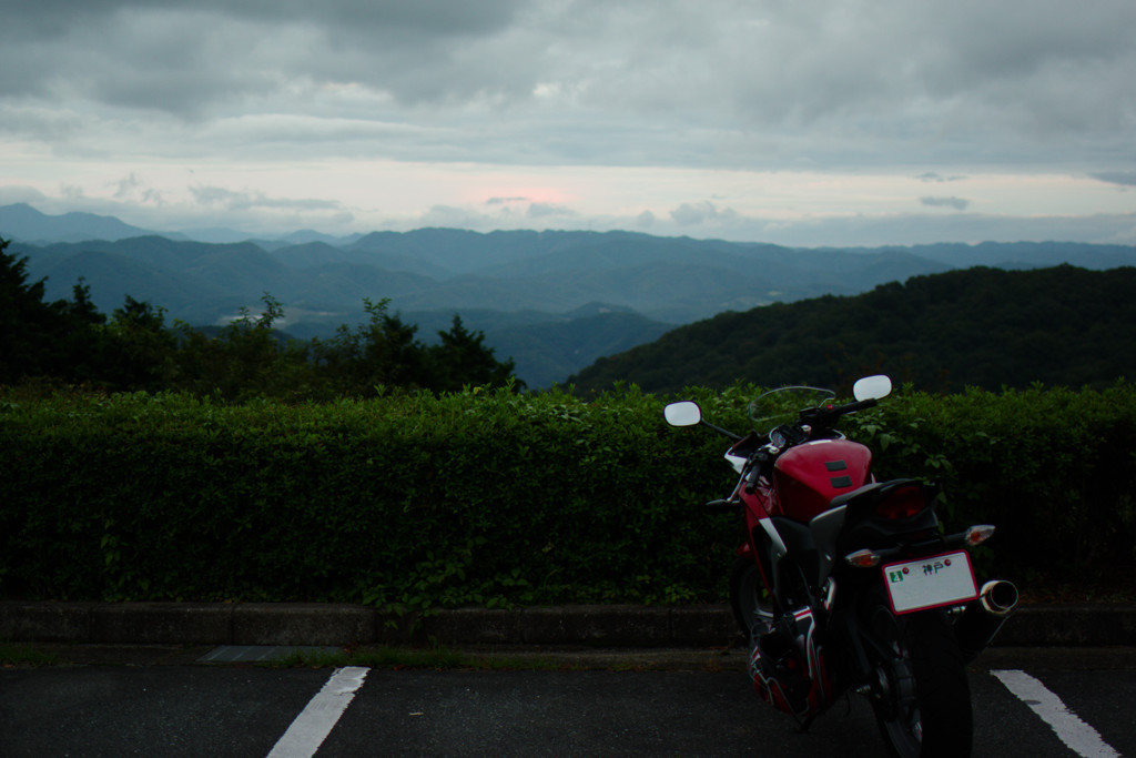 愛馬
