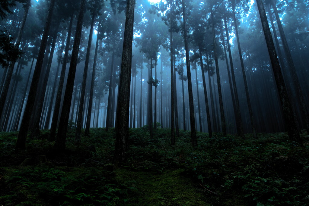 fog