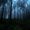 fog
