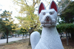 奈良公園のお稲荷様