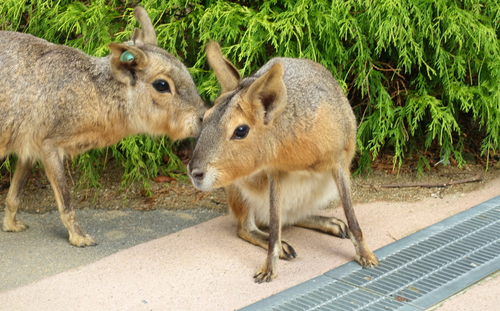 どこを見ているのかな？