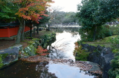 奈良公園にて