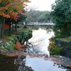 奈良公園にて