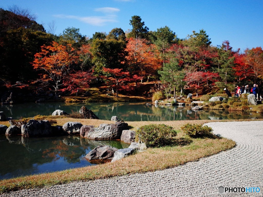 日本式庭園と紅葉のコンビ