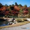 日本式庭園と紅葉のコンビ