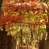 平林寺