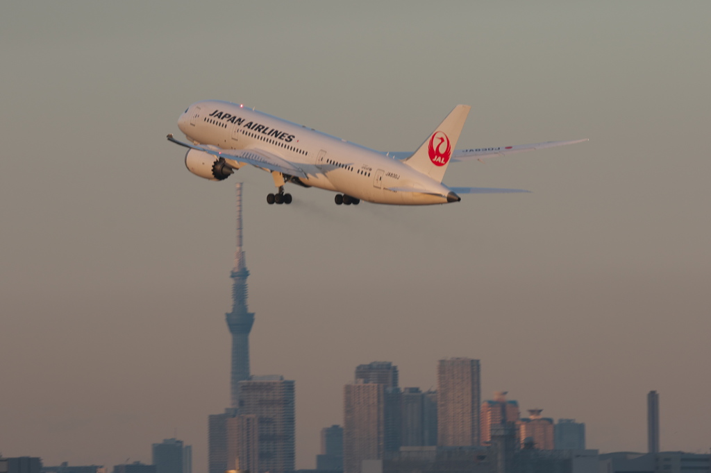 祝　初❤羽田空港