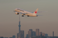 祝　初❤羽田空港
