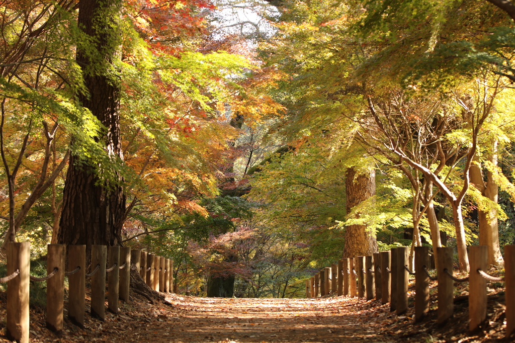 平林寺