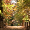 平林寺