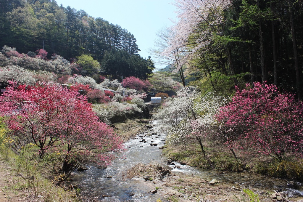 花桃の里