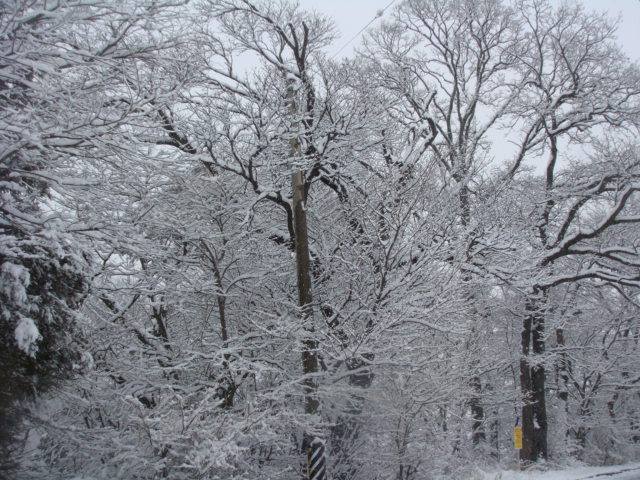 雪景色