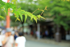 京都・奈良08