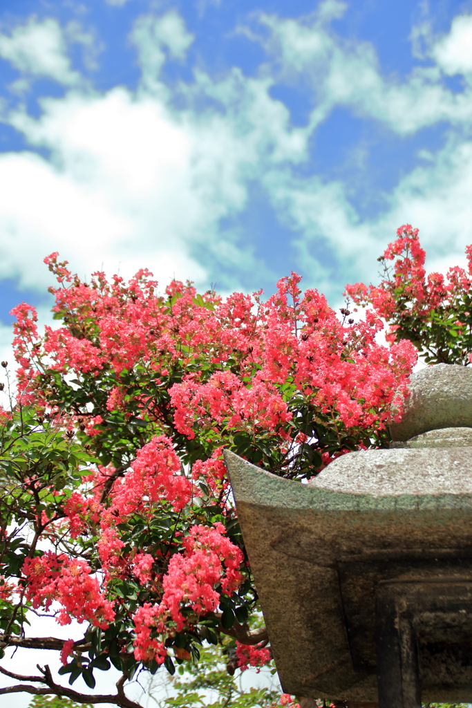 京都・奈良　清水寺2