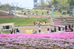 茶臼山　芝桜まつり　3