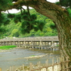 京都 夏渡月橋！