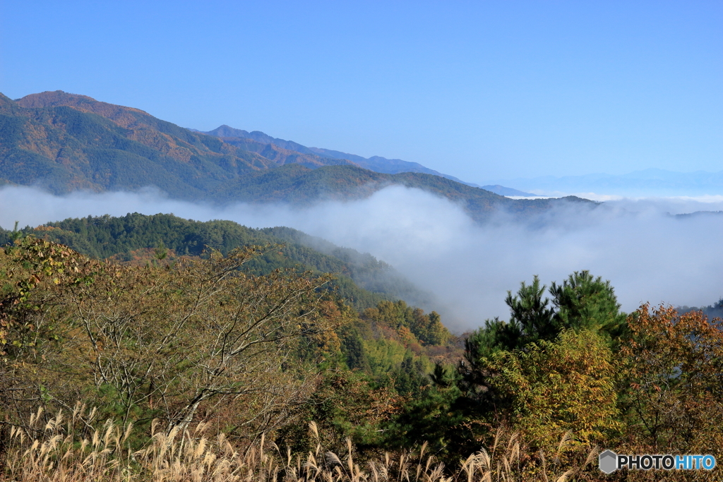 山を越え現れたのは”雲海”