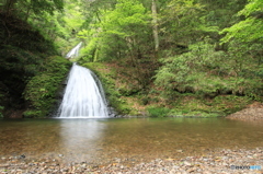 新緑に包まれる阿寺七滝
