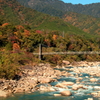 木曽川の秋！紅葉　2