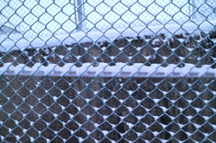 フェンスと雪