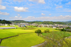 田園1