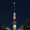 不忍池、夜の散歩1