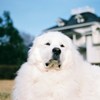 青木邸前にて