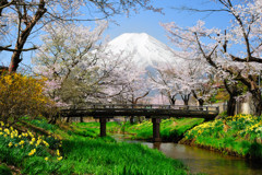 花霞