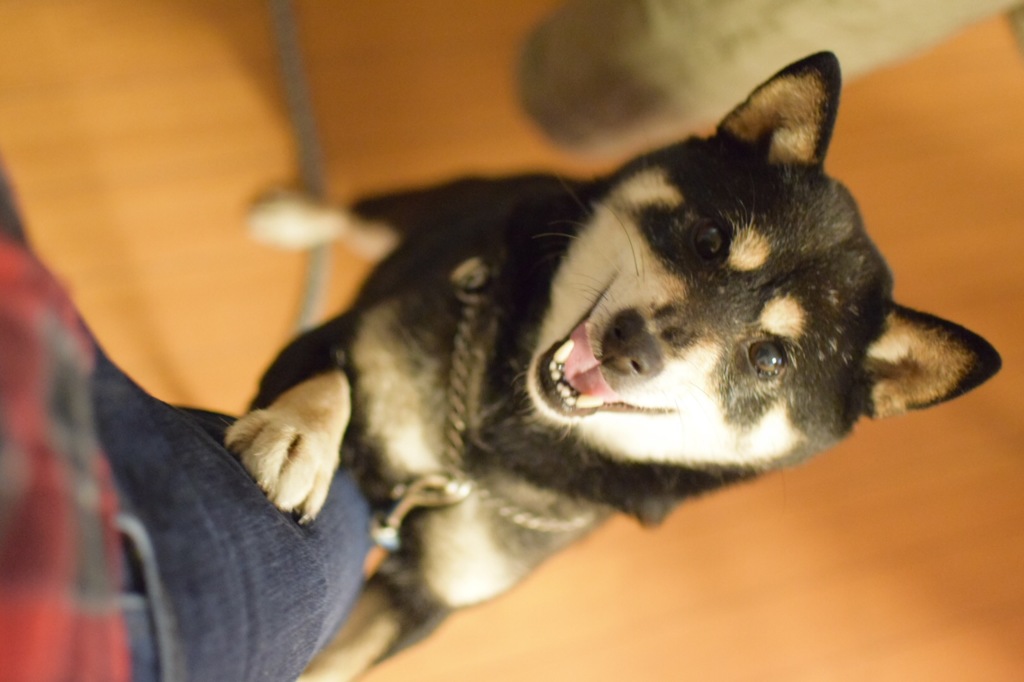 楽しい時間