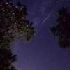 ペルセウス座流星群✨