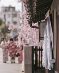 春色の風景