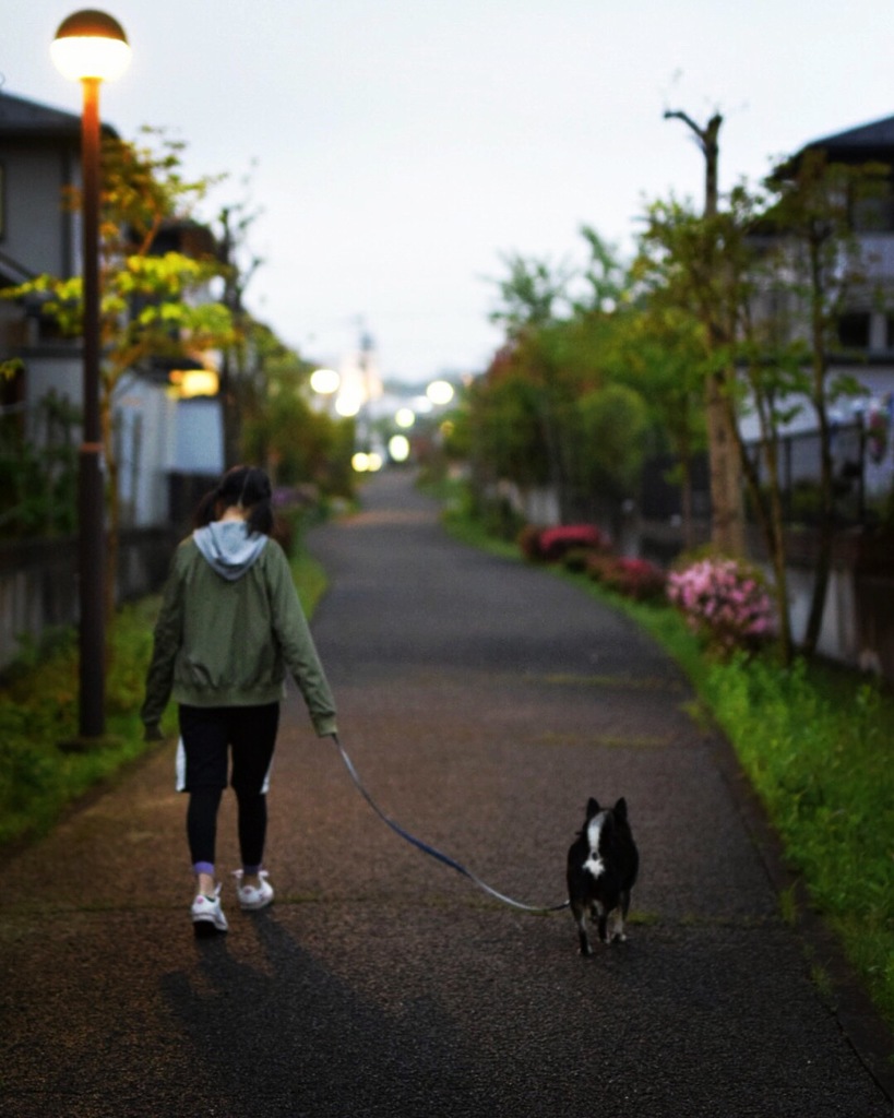 帰り道