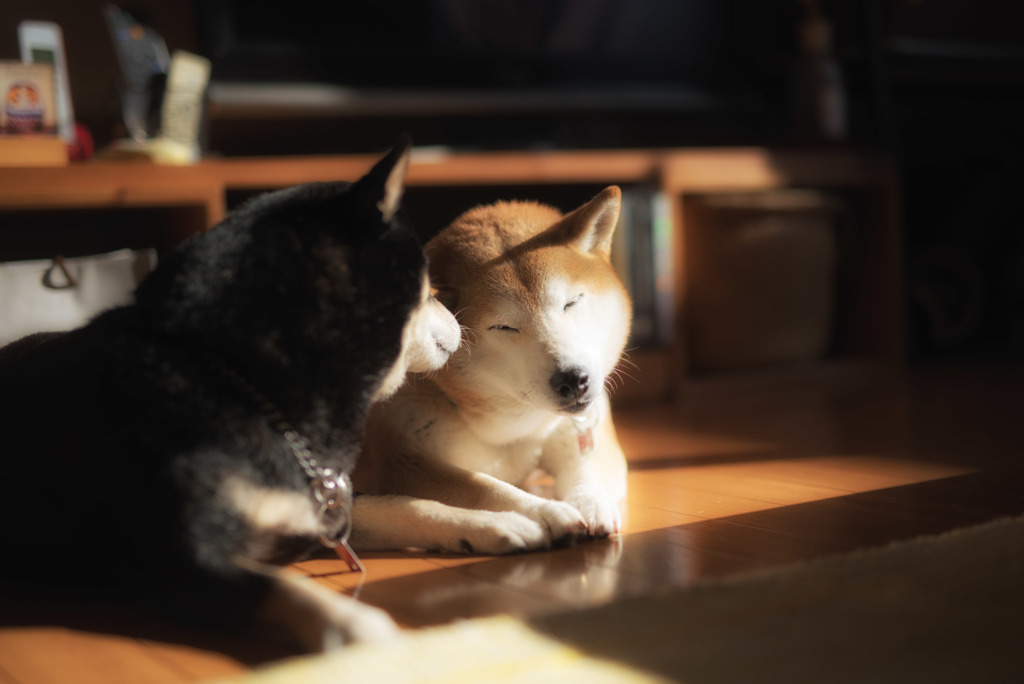 ほっこり