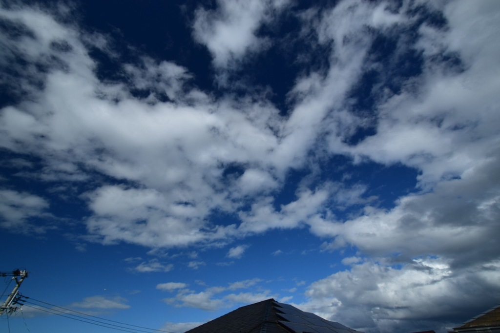 梅雨の晴れ間☀️
