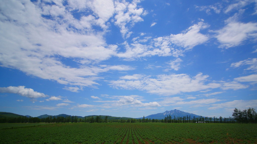 北海道 知床半島近くの畑