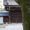 住吉大社5