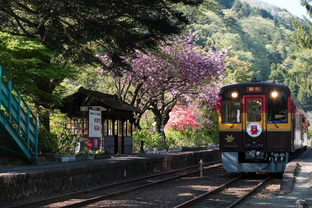 沢入沢入です。