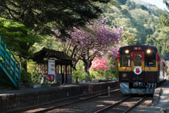 沢入沢入です。