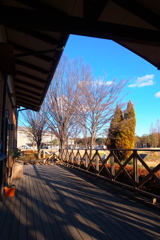 ベンチからの眺め