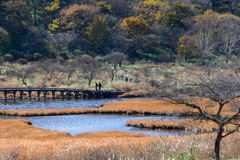 覚満淵との再会