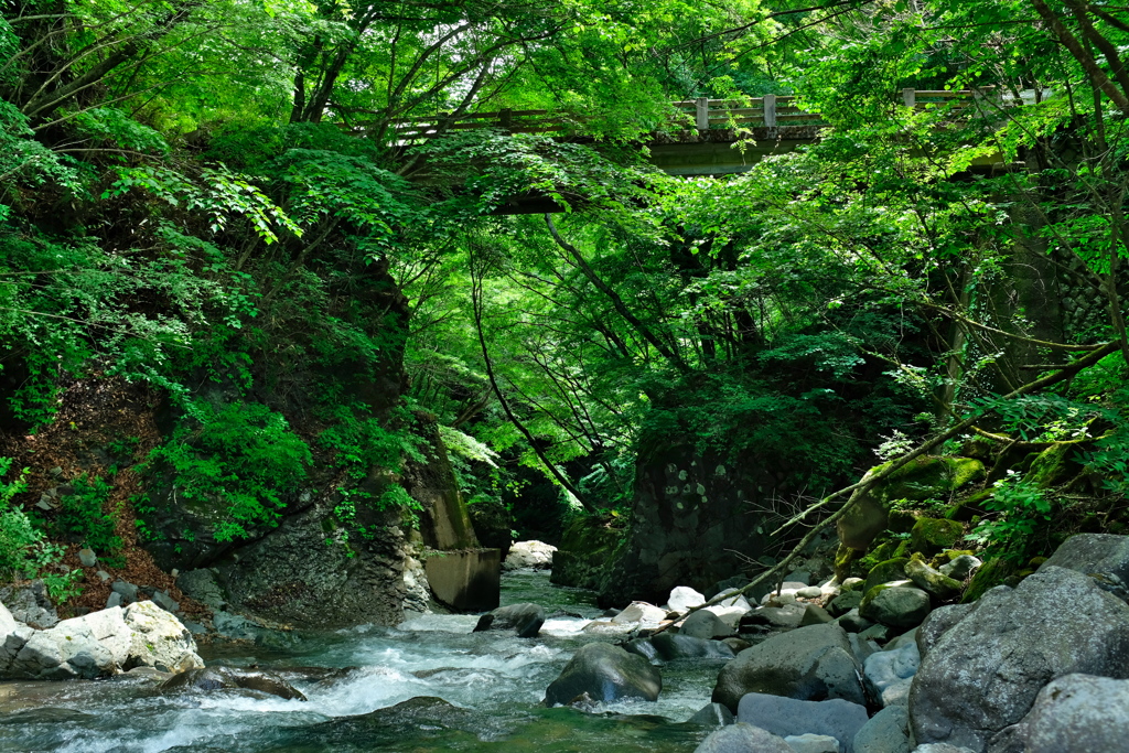 温泉近くの流れ
