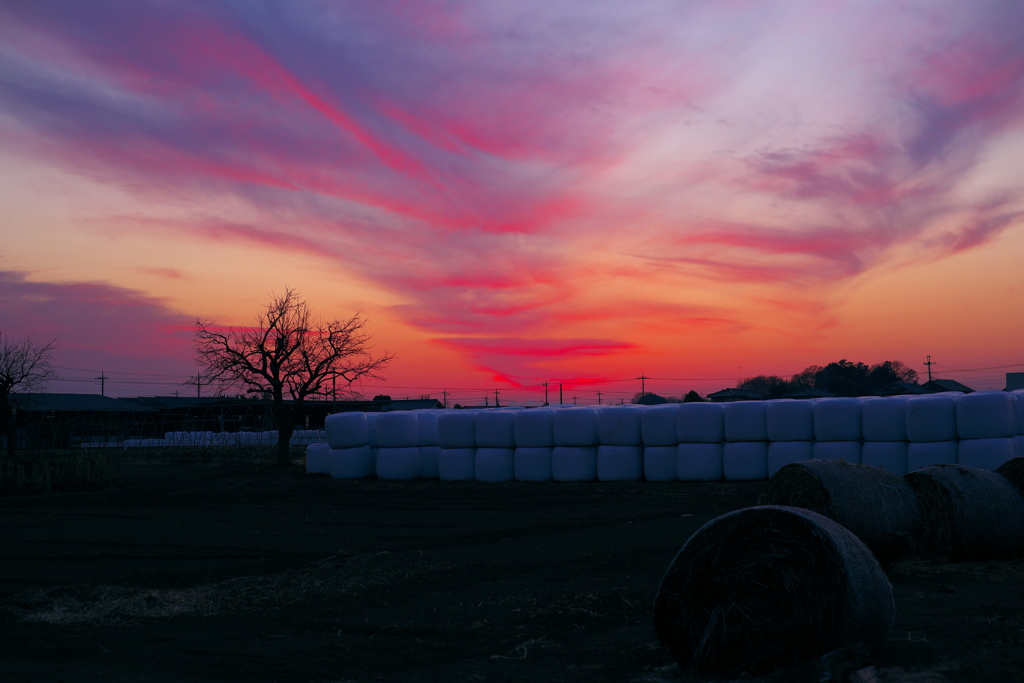 夕焼け空
