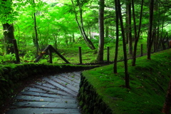雲場池近傍の坂