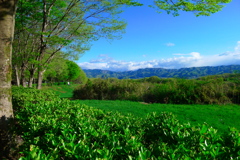 三国の山を望む
