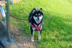 秋晴れの中で嬉しいな